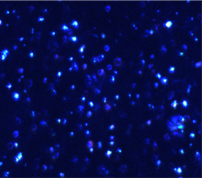 Công nghệ Cấp nước mới và ứng dụng ở Việt Nam - Ảnh 11.