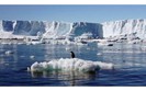 Các vùng nước ấm đe dọa môi trường Nam Cực