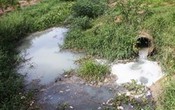 Xả nước thải ra môi trường, 2 doanh nghiệp ở Hà Giang bị phạt hơn 400 triệu đồng