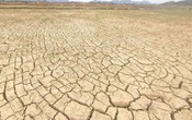 Nam Trung Bộ phải dừng sản xuất gần 1.500 ha lúa do thiếu nước