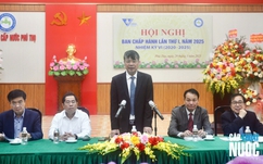 VWSA họp Hội nghị Ban chấp hành lần thứ I năm 2025 Nhiệm kỳ VI (2020 - 2025)