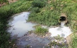Hà Giang phạt tiền 2 công ty do xả nước thải ra môi trường