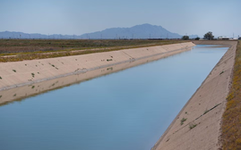 Bang Arizona (Mỹ) hạn chế xây nhà trong bối cảnh thiếu nước