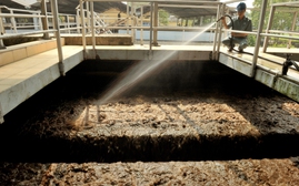 Biến bùn thải thành nguồn năng lượng mới