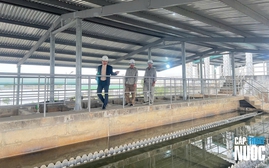 Nước sạch Hải Dương vững đà tăng trưởng, kỳ vọng chinh phục mục tiêu 2026