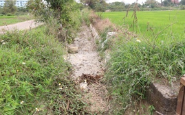 Mặn dâng cao, Đà Nẵng khẩn trương giữ nước ngọt