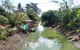 Cà Mau triển khai phương án ứng phó xâm nhập mặn theo cấp độ rủi ro