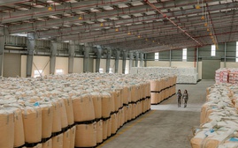 Nhựa Tiền Phong nỗ lực cung cấp sản phẩm đảm bảo ổn định thị trường nhựa xây dựng tại Việt Nam