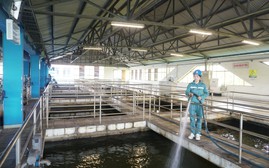 Quyết định 40/2026/QĐ-TTg: Cơ cấu vốn ngành Nước không chỉ là câu chuyện tỷ lệ sở hữu