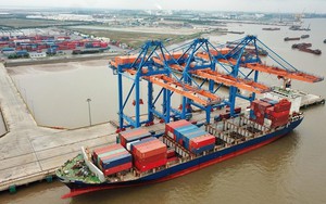 Chính phủ phân loại chi tiết cảng biển Việt Nam