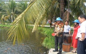 Việt Nam - Indonesia: Tăng cường trao đổi, hợp tác ngành cấp thoát nước