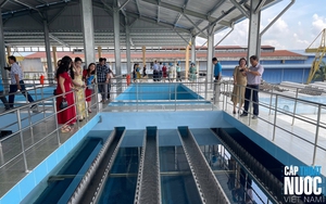 Cần Thơ vận hành nhà máy nước 50.000 m³/ngày đêm sau 6 tháng tái khởi động