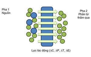 Xử lý nước bằng màng gốm siêu lọc (UF): Công nghệ thế mạnh của Tập đoàn Thiên Kiện trong xử lý nước cấp sinh hoạt