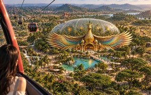 “Thám hiểm” 5 châu trong một ngày: Safari Cần Giờ mở ra hành trình khám phá từ bầu trời đến đại dương