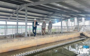 Nước sạch Hải Dương vững đà tăng trưởng, kỳ vọng chinh phục mục tiêu 2026