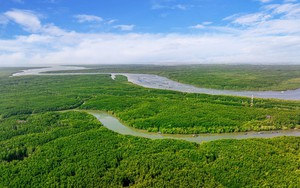 Cơ hội thế kỷ dành cho Cần Giờ: Nhìn từ siêu đô thị biển Vinhomes Green Paradise