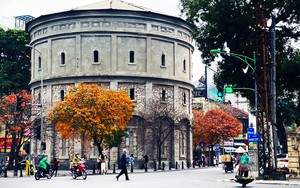 Dịu dàng tháng Ba Hà Nội