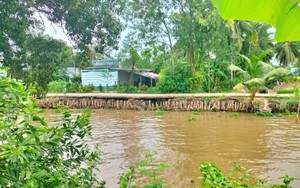 An ninh nguồn nước Đồng bằng sông Cửu Long từ Kết luận 26 của Bộ Chính trị