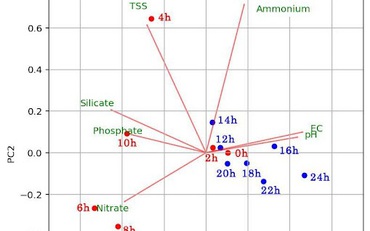 Nghiên cứu sự ảnh hưởng của thủy triều đến chất lượng nước sông Sài Gòn bằng phương pháp phân tích thống kê