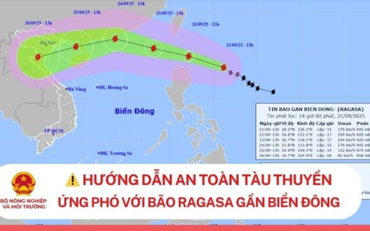 Hướng dẫn chủ động ứng phó siêu bão RAGASA trên Biển Đông