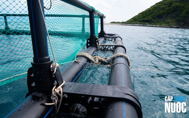 DEKKO đồng hành phát triển nuôi biển bền vững tại Việt Nam