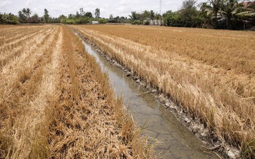 TP. Hồ Chí Minh chủ động trữ nước ngọt, tăng cường ứng phó hạn hán và xâm nhập mặn trong mùa khô 2026