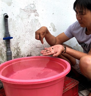 Cần sớm khắc phục tình trạng nước sạch bị đóng nhiều cặn ở Quảng Ngãi