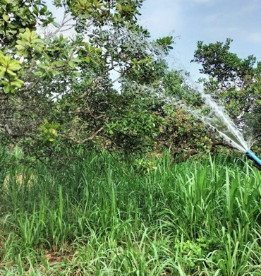 Đồng Nai nâng chuẩn nước sạch nông thôn