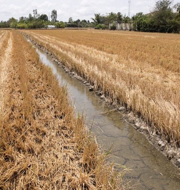 TP. Hồ Chí Minh chủ động trữ nước ngọt, tăng cường ứng phó hạn hán và xâm nhập mặn trong mùa khô 2026