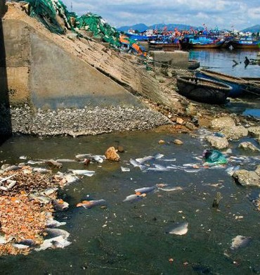 Hà Nội lấy ý kiến về phương án thu tiền xử lý nước thải, dịch vụ thoát nước