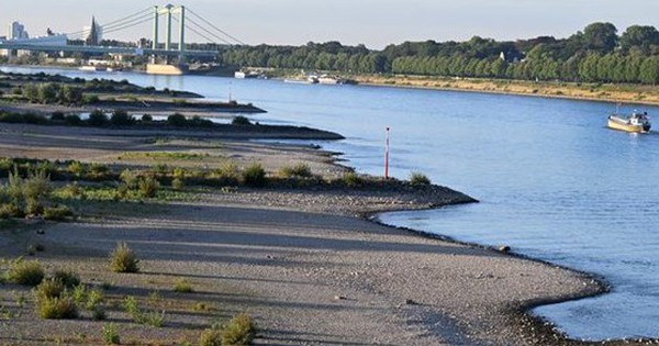 Kinh tế Đức bị ảnh hưởng do nước sông Rhine xuống thấp